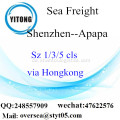 Shenzhen-Hafen LCL Konsolidierung, Apapa